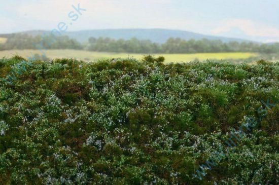 Obrázok pre 44/F620-S Lesní základ - borůvkoviště -