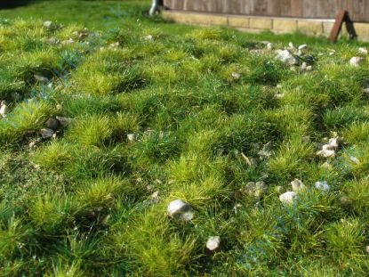 Obrázok pre 44/F712-S Časné léto-vápencové kamenMINI