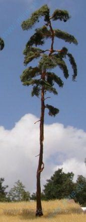 Obrázok pre 44/BR250 Borovice 230-260mm