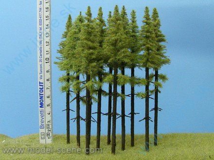 Obrázok pre 44/MK150 Modřín , vysoký kmen 140-160 m