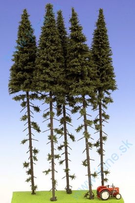 Obrázok pre 44/SK300 Smrek Vysoký kmeň 280-320 mm