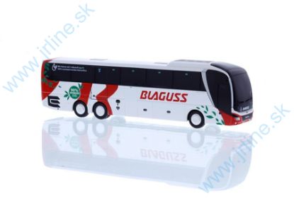 Obrázok pre 982/74868 MAN Lions Coach L 17** BLAGUSS